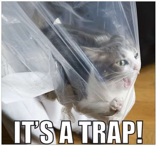 Illustration for article titled PSA: Cats love plastic bags